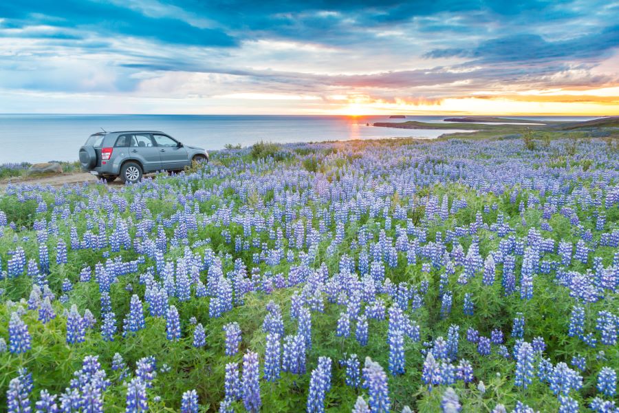 Spring Car Maintenance